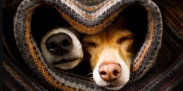 Ζώδια: Προβλέψεις για σήμερα, Τρίτη 21 Νοεμβρίου 2023