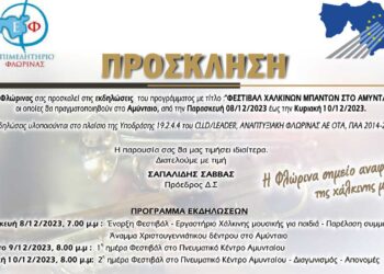 Αμύνταιο: Την Παρασκευή 8 Δεκεμβρίου το άναμμα του χριστουγεννιάτικου δέντρου στα πλαίσια τριήμερων εκδηλώσεων