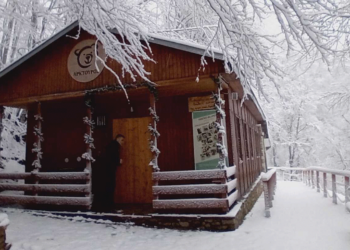 Το χιόνι… έστειλε για ύπνο τις αρκούδες στον Αρκτούρο