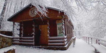 Το χιόνι… έστειλε για ύπνο τις αρκούδες στον Αρκτούρο