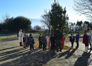 Με αστεράκια και ευχές των μαθητών του Δημοτικού Σχολείου Αιανής στολίστηκαν τα δέντρα του Αρχαιολογικού Μουσείου Αιανής