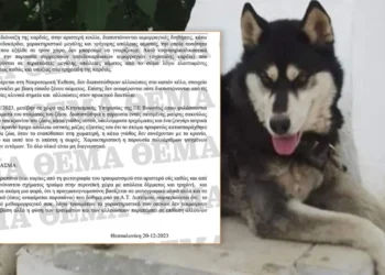 Το πόρισμα του πραγματογνώμονα που όρισε η ΕΛΑΣ για τον Όλιβερ – «Δεν τεκμαίρεται κακοποίηση από άνθρωπο»