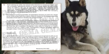 Το πόρισμα του πραγματογνώμονα που όρισε η ΕΛΑΣ για τον Όλιβερ – «Δεν τεκμαίρεται κακοποίηση από άνθρωπο»