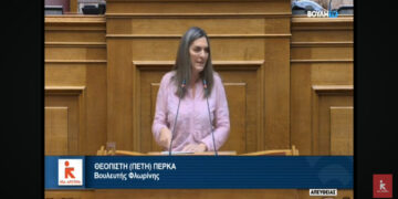 Πέτη Πέρκα: «Η κλιματική κρίση δεν μπορεί να χρησιμοποιείται ως δικαιολογία για την ολιγωρία της κυβέρνησης στη διαχείριση κρίσεων» (video)