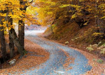 Στην Ελλάδα ο δρόμος που έγινε viral και μάγεψε τον πλανήτη -Πού βρίσκεται