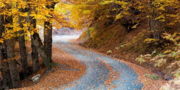 Στην Ελλάδα ο δρόμος που έγινε viral και μάγεψε τον πλανήτη -Πού βρίσκεται