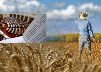 Στα σκαριά η δημιουργία Αγροτικών Τμημάτων στα Επιμελητήρια - Παρουσίασε Νομοσχέδιο το ΥΠΑΑΤ