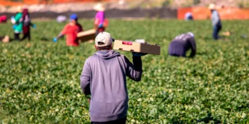 Μεταναστευτικό: Μετά την τροπολογία έρχονται συμφωνίες με Γεωργία, Μολδαβία και Ινδία για εργάτες γης