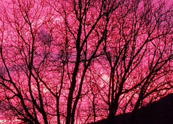 "Ζωγραφιά" ο ουρανός και στην στην Ασβεστόπετρα σήμερα το ξημέρωμα - Δείτε φωτογραφία