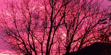 "Ζωγραφιά" ο ουρανός και στην στην Ασβεστόπετρα σήμερα το ξημέρωμα - Δείτε φωτογραφία