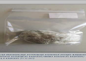 Συνελήφθη 47 ημεδαπός στην πόλη της Φλώρινας για κατοχή-25,1- γραμμαρίων ακατέργαστης κάνναβης