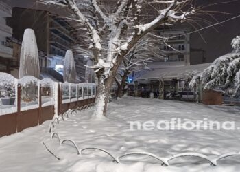 Πανέμορφες εικόνες από την Φλώρινα ντυμένη στα λευκά (βίντεο)