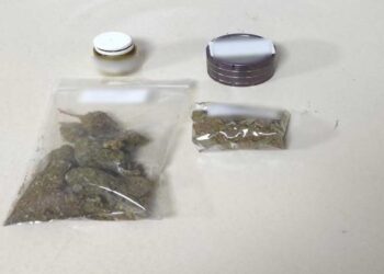 Συνελήφθη 31χρονος για ναρκωτικά στην Πτολεμαΐδα – Είχε 27 γρ. ακατέργαστης κάνναβης και ναρκωτικά δισκία