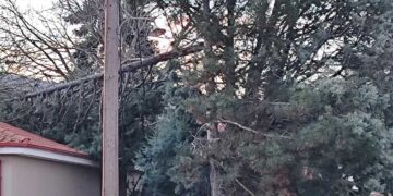 Ο δυνατός αέρας έσπασε κλαδί δέντρου στην Άρδασσα δίπλα στον παιδικό σταθμό