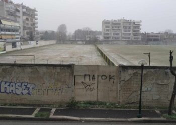 Χωρίς ιδιαίτερα χαμηλές θερμοκρασίες, ξεκίνησε η ασθενής χιονόπτωση στη Πτολεμαΐδα (της Κούλας Πουλασιχίδου)