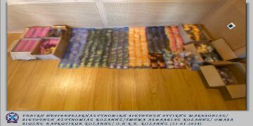 Κοζάνη: Συνελήφθη 26χρονος για διακίνηση ναρκωτικών– Είχε σπίτι του πάνω από μισό κιλό κάνναβης, ζελεδάκια κάνναβης και άλλες ουσίες