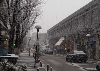 Λευκό τοπίο η Δυτική Μακεδονία- Ανησυχία για τον παγετό του επόμενου 24ωρου