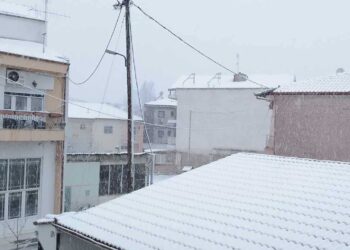 Είδε άσπρη μέρα" η Εορδαία - Στα λευκά ξύπνησε η πόλη και οι γύρω περιοχές - Δείτε φωτογραφίες και βίντεο