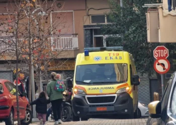 Θεσσαλονίκη: Στο νοσοκομείο βρέφος μετά από επίθεση αδέσποτου σκύλου