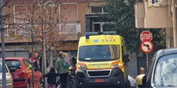 Θεσσαλονίκη: Στο νοσοκομείο βρέφος μετά από επίθεση αδέσποτου σκύλου