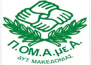 Επανάσταση: Και από το gov.gr θα εκδίδεται πλέον η κάρτα αναπηρίας