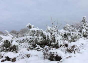 Καιρός: Τελευταία «ανοιξιάτικη» ημέρα η Παρασκευή, έρχονται χιόνια το Σάββατο από Λαμία… και πάνω