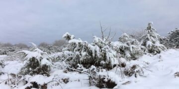 Καιρός: Τελευταία «ανοιξιάτικη» ημέρα η Παρασκευή, έρχονται χιόνια το Σάββατο από Λαμία… και πάνω