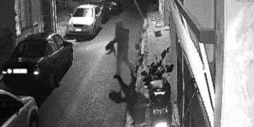 Καταδικάστηκε σε 8 χρόνια φυλάκιση ο 33χρονος που σκότωνε αδέσποτες γάτες στον Βοτανικό