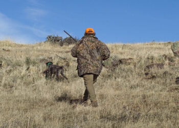 Φλώρινα: Σε κρίσιμη κατάσταση ο κυνηγός που τραυματίστηκε σε ενέδρα για αγριογούρουνα