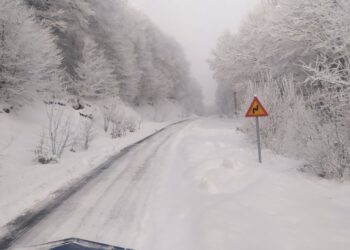 Μοναδικό κατάλευκο τοπίο στο δρόμο Κλεισούρας – Βλάστης (video από τον σημερινό αποχιονισμό )