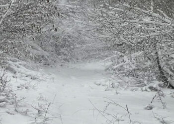 Μαγικό Τοπίο στα υπέροχα μονοπάτια του Προφήτη Ηλία Τ.Κ. Ασβεστόπετρας