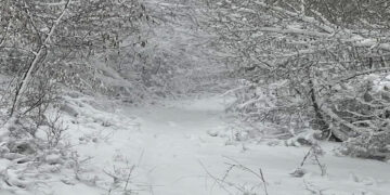 Μαγικό Τοπίο στα υπέροχα μονοπάτια του Προφήτη Ηλία Τ.Κ. Ασβεστόπετρας