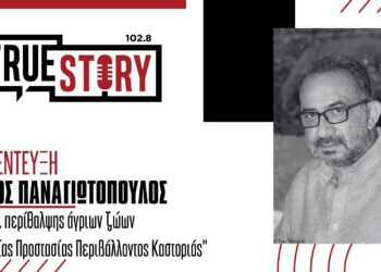 Ο Ν. Παναγιωτόπουλος για την εμφάνιση λύκου στην Πτολεμαΐδα: “Δεν το κυνηγάμε στο κατόπι για να το γράψουμε video”