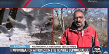 Καστοριά: Σε ετοιμότητα το Κέντρο Περίθαλψης στην περίπτωση που παγώσει η λίμνη- VIDEO