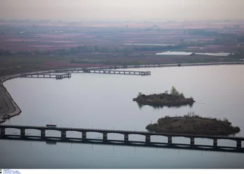 Κάθειρξη 15 έτη στη μητέρα που πέταξε το μωρό της απο τον Αλιάκμονα