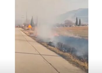 Φωτιά στο δρόμο Άρδασσα – Κρυόβρυση (video)