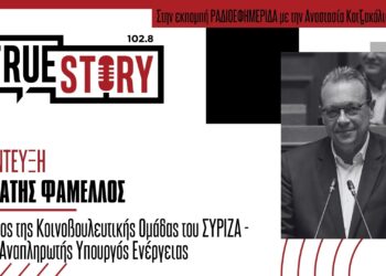 Σ. Φάμελλος: «Δεν εξασφαλίζεται η ενεργειακή επάρκεια της χώρας, η φθηνή ενέργεια και η δίκαιη μετάβαση»