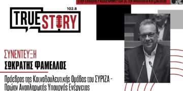 Σ. Φάμελλος: «Δεν εξασφαλίζεται η ενεργειακή επάρκεια της χώρας, η φθηνή ενέργεια και η δίκαιη μετάβαση»