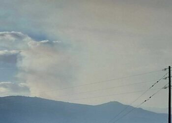 Φωτιά σε δασική έκταση σε δασική έκταση του Ν. Καστοριάς – Ορατοί οι καπνοί από χωριά της Εορδαίας