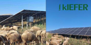 Φωτοβολταϊκά και Κτηνοτροφία μπορούν να πάνε μαζί – Το παράδειγμα της kIEFER