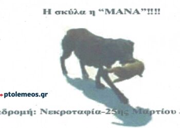 Η σκύλα μάνα και το παράδειγμά της – Από τη στήλη του Γ. Καζαντζή στον ΠΑΛΜΟ (28/2)