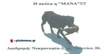 Η σκύλα μάνα και το παράδειγμά της – Από τη στήλη του Γ. Καζαντζή στον ΠΑΛΜΟ (28/2)