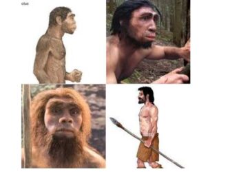 Μ α θ α ι ν ω τ η ν ι σ τ ο ρ ι α τ ο υ α ν θ ρ ώ π ο υ - (Γράφει ο Μιχάλης Ραμπίδης)