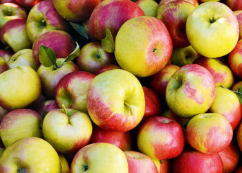 Ελληνοποιήσεις: Πώς τα πολωνικά μήλα βαφτίζονται «Κοζάνης» (από την ΚΑΘΗΜΕΡΙΝΗ)