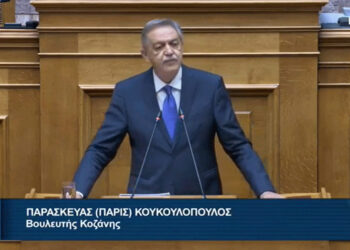 Π. Κουκουλόπουλος: «Ανέφικτη για την Κυβέρνηση η αποκατάσταση εδαφών στη Δυτική Μακεδονία;»