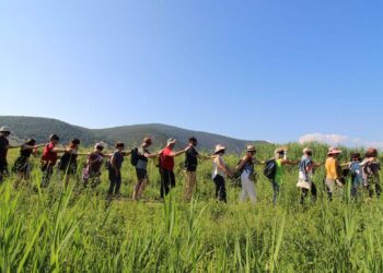 Πανεπιστήμιο Δ.Μ: Κάλεσμα για συμμετοχή στη μεγαλύτερη διευρωπαϊκή καλλιτεχνική δράση στις περιπατητικές τέχνες