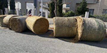 Κλιμακώνουν τις κινητοποιήσεις τους οι αγρότες της Δυτικής Μακεδονίας- Κλείνουν την Περιφέρεια και το Τελωνείο της Νίκης(VIDEO- φώτο)