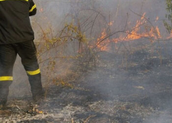 Πρόστιμο από την Π.Υ. Φλώρινας σε γυναίκα, για πρόκληση πυρκαγιάς