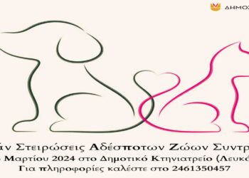 Δωρεάν στειρώσεις αδέσποτων ζώων συντροφιάς από τον Δήμο Κοζάνης στις 4, 5 και 6 Μαρτίου 2024
