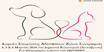 Δωρεάν στειρώσεις αδέσποτων ζώων συντροφιάς από τον Δήμο Κοζάνης στις 4, 5 και 6 Μαρτίου 2024